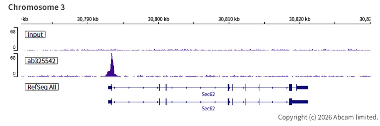 ChIP-sequencing - Anti-INO80 antibody [EPR30384-761] (AB325542)