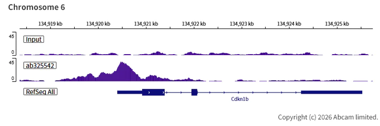 ChIP-sequencing - Anti-INO80 antibody [EPR30384-761] (AB325542)