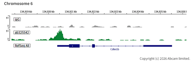 ChIC/CUT&RUN sequencing - Anti-INO80 antibody [EPR30384-761] - BSA and Azide free (AB325543)