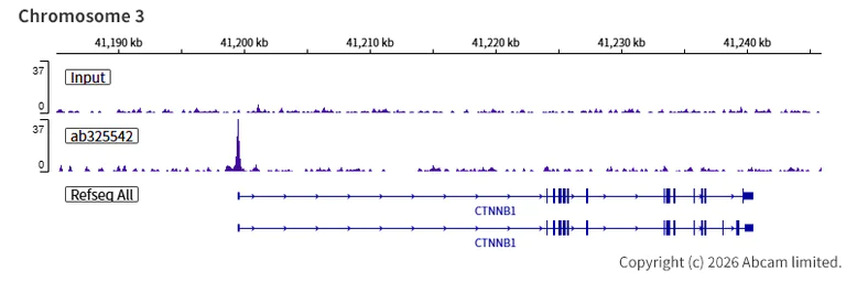 ChIP-sequencing - Anti-INO80 antibody [EPR30384-761] - BSA and Azide free (AB325543)