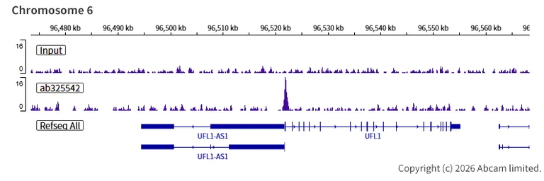 ChIP-sequencing - Anti-INO80 antibody [EPR30384-761] - BSA and Azide free (AB325543)