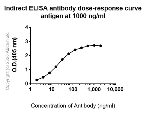 Indirect ELISA - Anti-iNOS antibody [EPR16635] (AB178945)