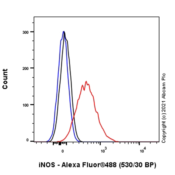 Flow Cytometry (Intracellular) - Anti-iNOS antibody [RM1017] (AB283655), expandable thumbnail