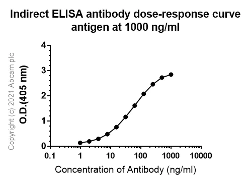 Indirect ELISA - Anti-iNOS antibody [RM1017] - BSA and Azide free (AB283668)