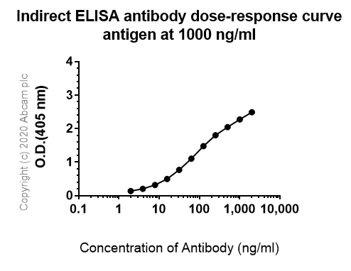 Indirect ELISA - Anti-iNOS+nNOS antibody [EP16634] - BSA and Azide free (AB251367)