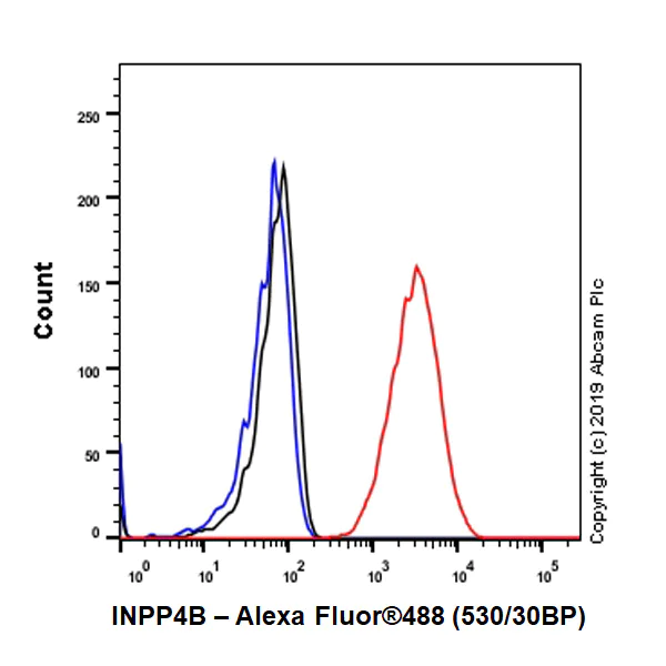 Flow Cytometry (Intracellular) - Anti-INPP4B antibody [EPR3108Y] (AB81269)