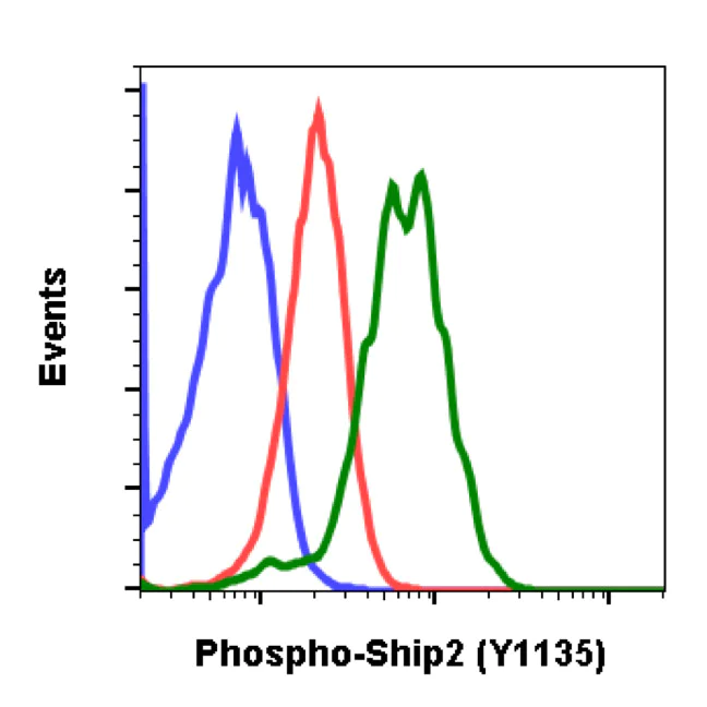 Flow Cytometry - Anti-INPPL1/SHIP-2 (phospho Y1135) antibody [Ship2Y1135-1D2] (AB278556)