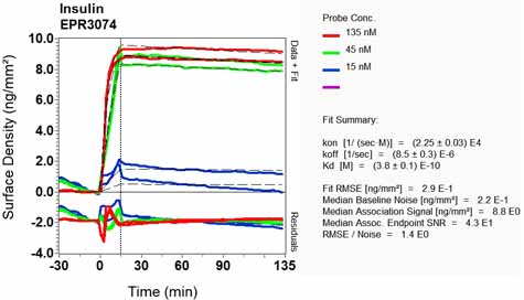 OI-RD Scanning - Anti-Insulin antibody [EPR3074] (AB133281), expandable thumbnail