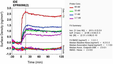 OI-RD Scanning - Anti-Insulin degrading enzyme / IDE antibody [EPR6098(2)] (AB133561), expandable thumbnail