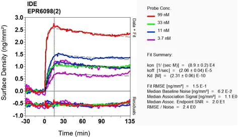 OI-RD Scanning - Anti-Insulin degrading enzyme / IDE antibody [EPR6098(2)] (AB133561)