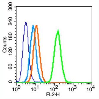 Flow Cytometry (Intracellular) - Anti-Insulin Receptor alpha antibody (AB203037)