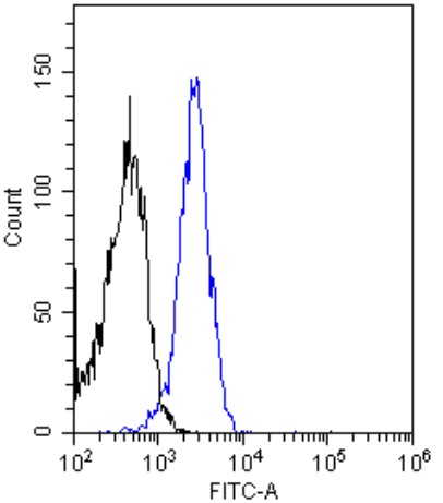 Flow Cytometry - Anti-Insulin Receptor antibody [83-14] (AB245691)