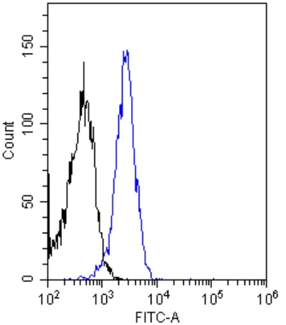 Flow Cytometry - Anti-Insulin Receptor antibody [83-14] (AB245691)