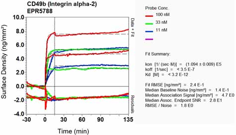 OI-RD Scanning - Anti-Integrin alpha 2 antibody [EPR5788] - Low endotoxin, Azide free (AB221214), expandable thumbnail