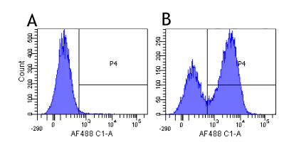 Flow Cytometry - Anti-Integrin alpha 4/CD49D antibody [Natalizumab] - Rabbit IgG (Chimeric) (AB275979)