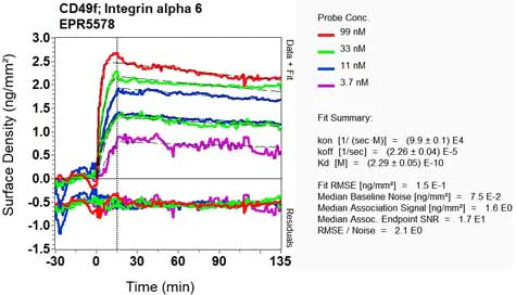 OI-RD Scanning - Anti-Integrin alpha 6 antibody [EPR5578] (AB124924)