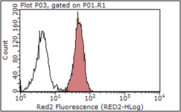 Flow Cytometry (Intracellular) - Anti-Integrin alpha V antibody [272-17E6] - BSA and Azide free (AB16821)