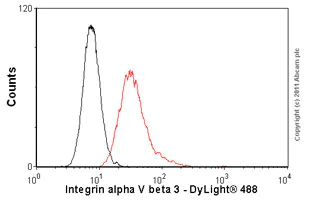 Anti-Integrin alpha V beta antibody (VNR-1)] (ab78289) Abcam