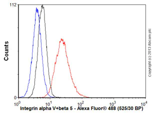 Flow Cytometry - Anti-Integrin alpha V+beta 5 antibody [P1F6] (AB177004)