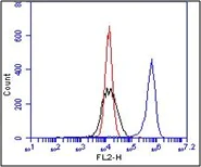 Flow Cytometry (Intracellular) - Anti-Integrin beta 1 antibody [BV7] (AB7168)
