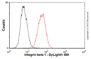 Flow Cytometry - Anti-Integrin beta 1 antibody [P5D2] - BSA and Azide free (AB230293)