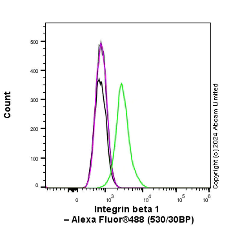 Flow Cytometry (Intracellular) - Anti-Integrin beta 1 antibody [RM1259] (AB322405)
