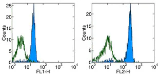 Flow Cytometry - Anti-Integrin beta 3 antibody [2C9.G3] - Low endotoxin, Azide free (AB171216)