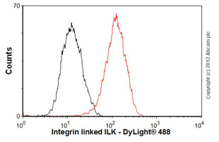 Flow Cytometry (Intracellular) - Anti-Integrin linked ILK antibody [EPR1592] (AB76468)