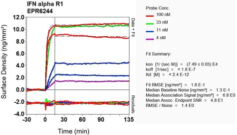 OI-RD Scanning - Anti-Interferon alpha/beta receptor 1 antibody [EPR6244] - BSA and Azide free (AB247992)