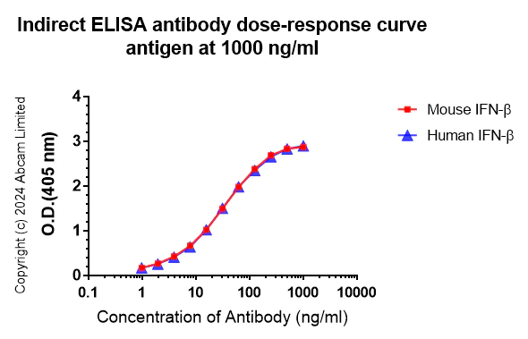 Indirect ELISA - Anti-Interferon beta antibody [RM1226] (AB322112)