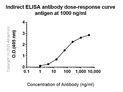 ELISA - Anti-Interferon gamma antibody [EPR21704] - BSA and Azide free (AB231301)