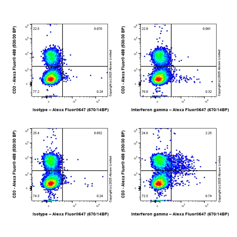 Flow Cytometry (Intracellular) - Anti-Interferon gamma antibody [EPR28352-7] - BSA and Azide free (AB324882)