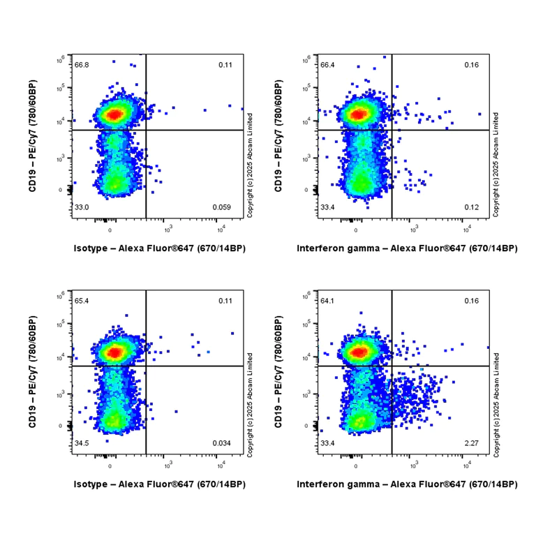 Flow Cytometry (Intracellular) - Anti-Interferon gamma antibody [EPR28352-7] - BSA and Azide free (AB324882)