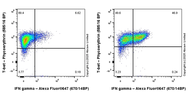 Flow Cytometry (Intracellular) - Anti-Interferon gamma antibody [EPR28352-7] - BSA and Azide free (AB324882)
