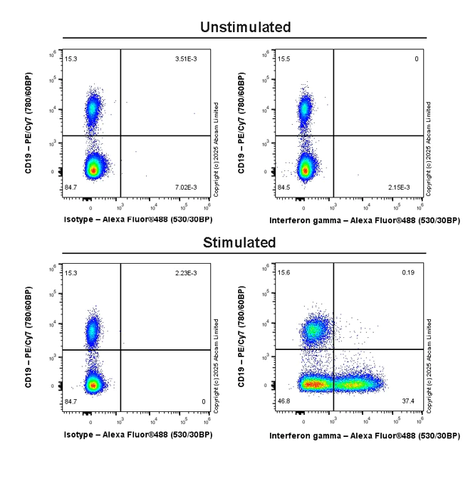 Anti-Interferon gamma antibody [RM1245] (ab322926) | Abcam