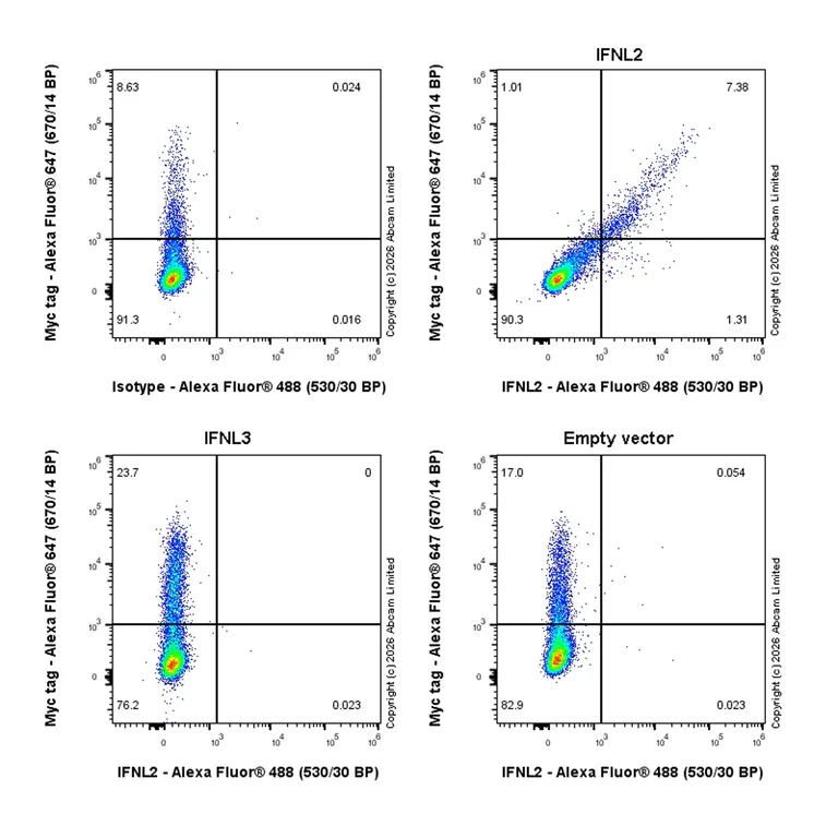 Flow Cytometry (Intracellular) - Anti-Interferon lambda-2 antibody [EPR30981-15] (AB326933)