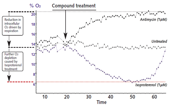 Cellular Activation - Intracellular Oxygen Concentration Assay (ab197245), expandable thumbnail