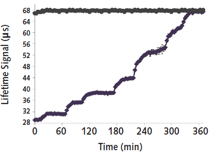 Cellular Activity - Intracellular Oxygen Concentration Assay (AB197245), expandable thumbnail