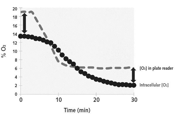Cellular Activity - Intracellular Oxygen Concentration Assay (AB197245), expandable thumbnail