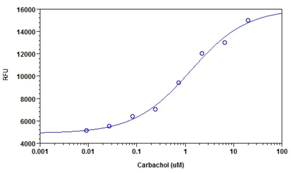 Functional Studies - Intracellular pH Assay Kit (AB228552)
