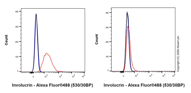 Flow Cytometry - Anti-Involucrin antibody [EPR13054] (AB181980)