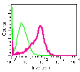 Flow Cytometry (Intracellular) - Anti-Involucrin antibody [EPR13054] - BSA and Azide free (AB240256)
