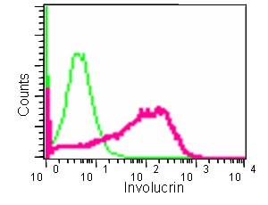 Flow Cytometry (Intracellular) - Anti-Involucrin antibody [EPR13060(N)] - C-terminal (AB184969)