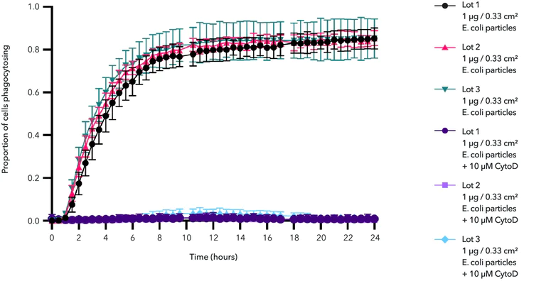 Functional Studies - ioMicroglia™ - Human iPSC derived cells (AB317488)