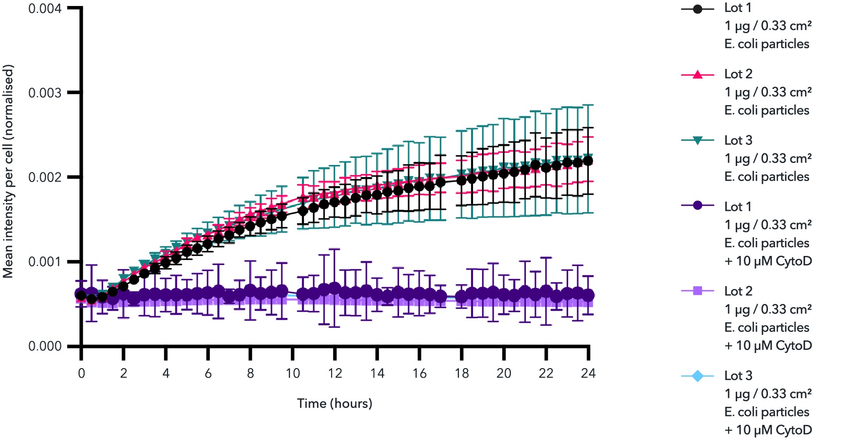 Functional Studies - ioMicroglia™ - Human iPSC derived cells (ab317488), expandable thumbnail