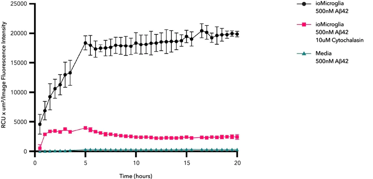Functional Studies - ioMicroglia™ - Human iPSC derived cells (AB317488)