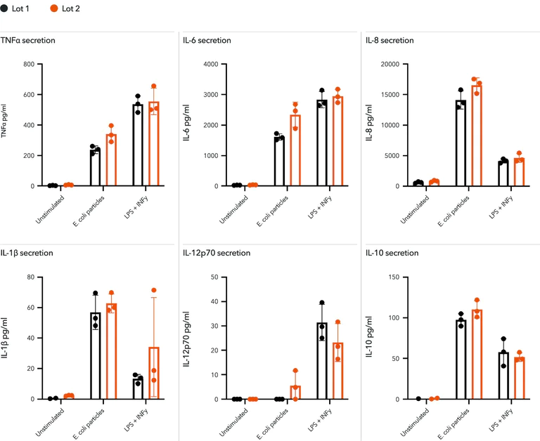 Functional Studies - ioMicroglia™ - Human iPSC derived cells (AB317488)