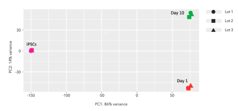 Sequencing - ioMicroglia™ - Human iPSC derived cells (AB317488)