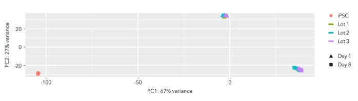 Sequencing - ioOligodendrocyte-like cells™ - Human iPSC derived cells (AB317487)