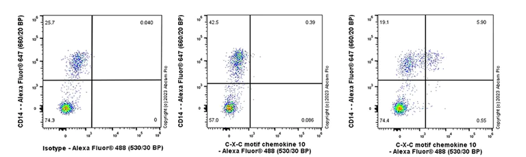 Flow Cytometry (Intracellular) - Anti-IP10 antibody [EPR27520-63] - BSA and Azide free (AB308462)